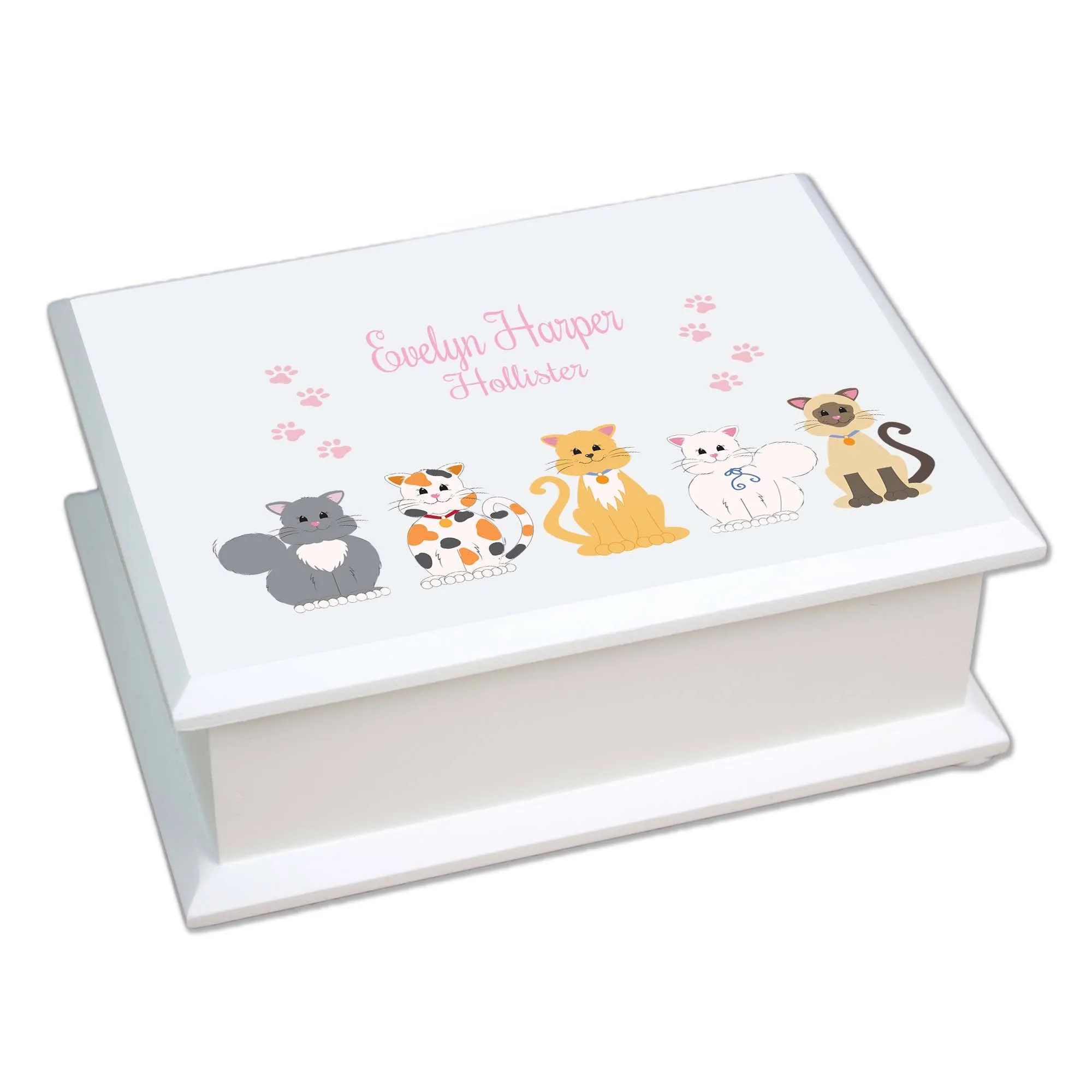 Lift Top Jewelry Box - Pink Cats