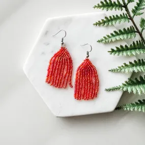 Shiny Tassel Earrings