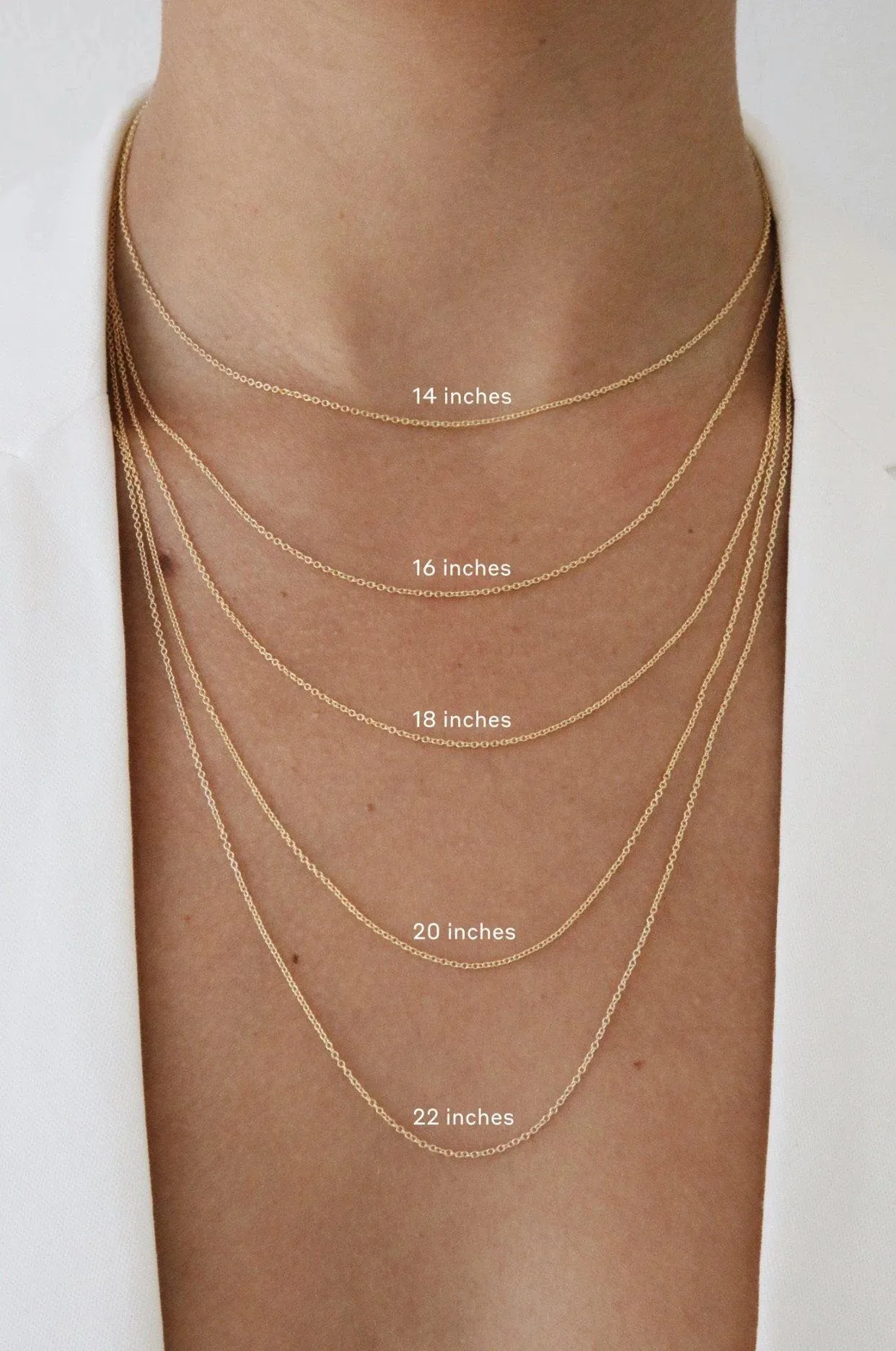 Thin Rolo Chain Necklace - Gold